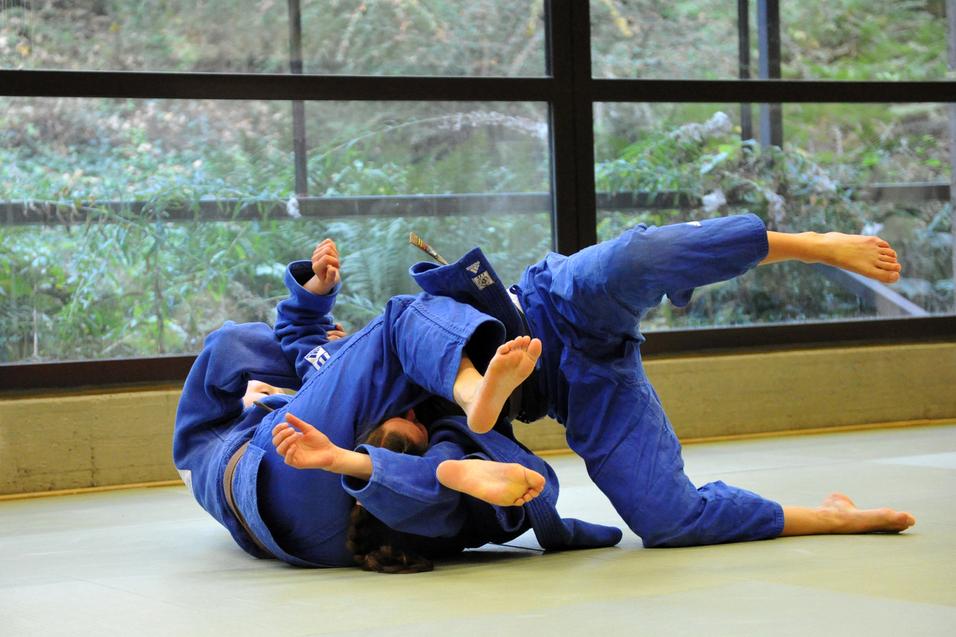 Zwei Judoka in blauer Judokleidung üben einen Bodenkampf auf einer tatami in einem lichtdurchfluteten Raum.